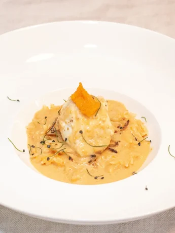 Elsinore Masago Lobster Bisque